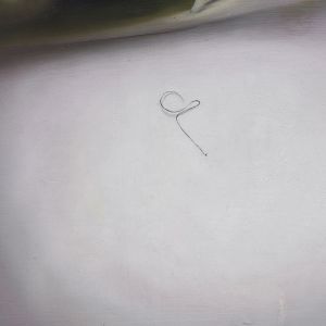 un poil 31x27cm 2023