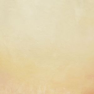 yeux d'animeaux dans un paysage2 72x50cm 2026